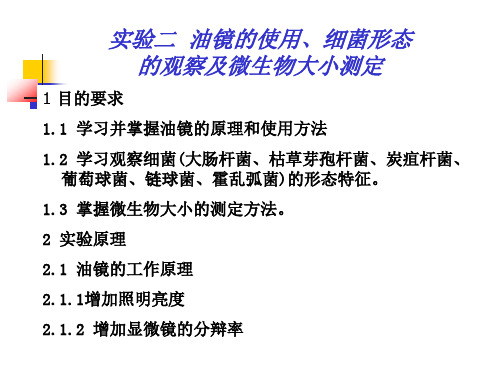 实验二  显微镜油镜的使用、细菌形态观察及大小测定