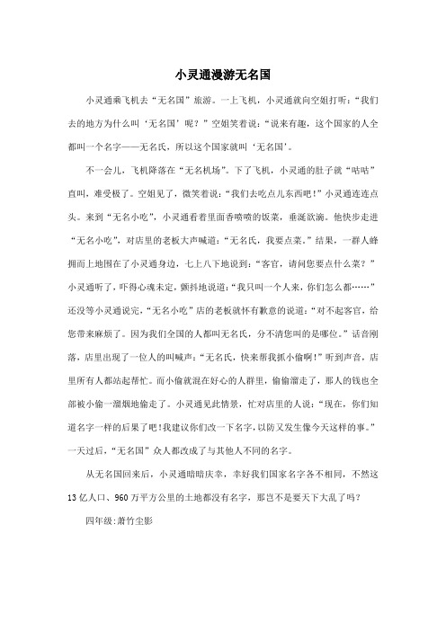 小灵通漫游无名国_小学四年级作文600字