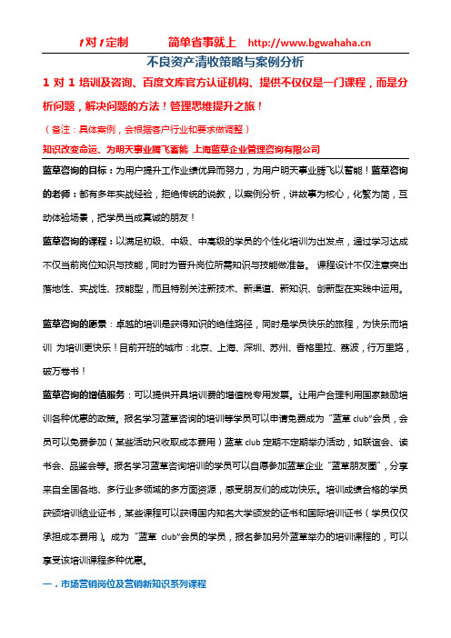 《不良资产清收策略与案例分析》