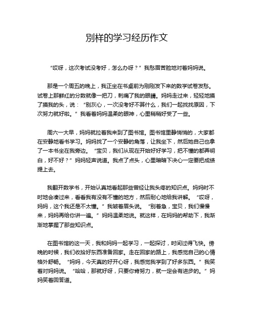 别样的学习经历作文