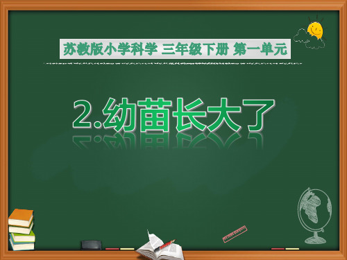 新苏教版三年级下册的第一单元第2课《幼苗长大了》优质PPT课件