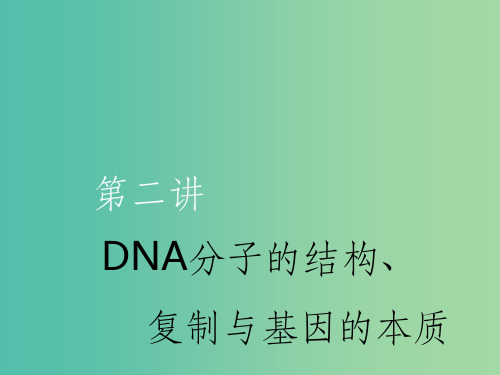 (新课改省份专用)202x版高考生物一轮复习 第六单元 第二讲 DNA分子的结构、复制与基因的本质