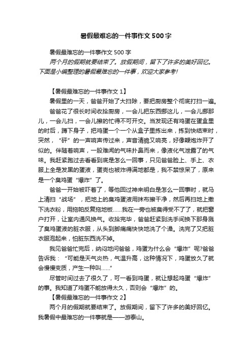 暑假最难忘的一件事作文500字