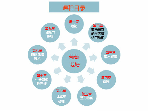 2-第二章-葡萄器官的形态结构与功能