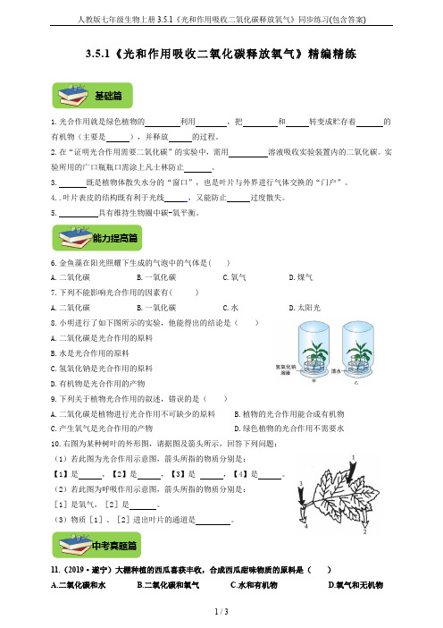 人教版七年级生物上册3.5.1《光和作用吸收二氧化碳释放氧气》同步练习(包含答案)