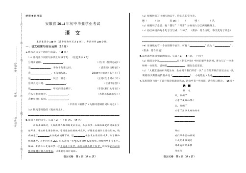 2014年安徽省中考语文试卷(附答案与解析)