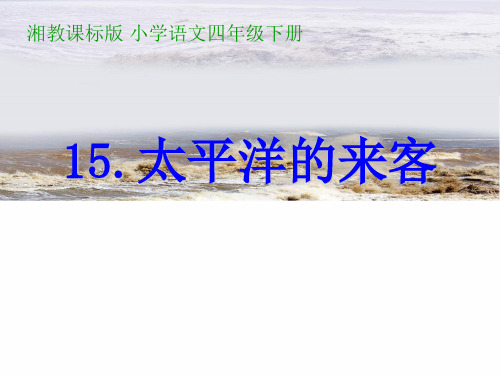 四年级下册语文课件《太平洋的来客》｜湘教版 (共28张PPT)