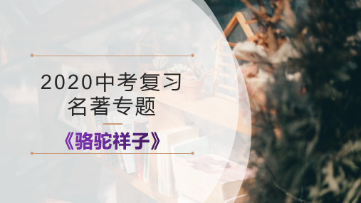 2020中考复习名著专题4《骆驼祥子》