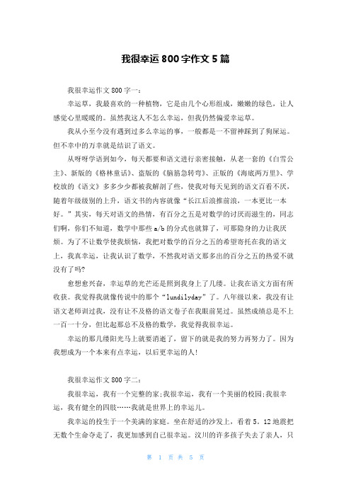 我很幸运800字作文5篇