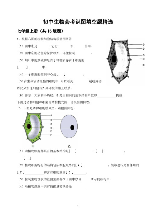 初中生物会考识图练习复习(填空版)