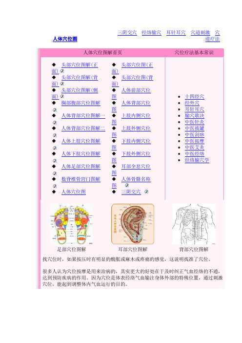 人体器官介绍