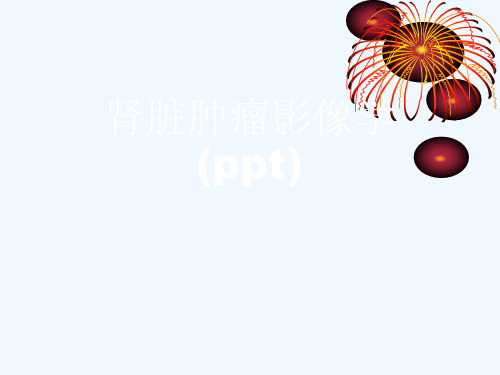 肾脏肿瘤影像学(ppt)