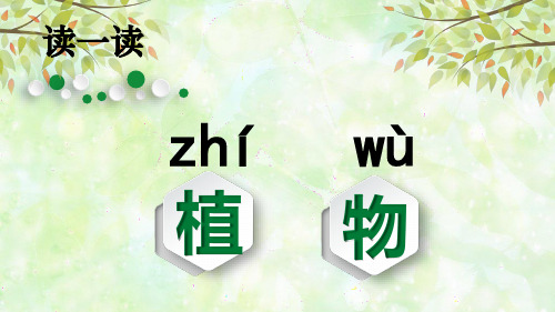 一年级上科学导学课件：我们知道的植物l教科版