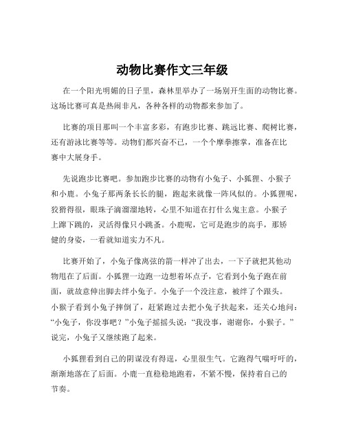 动物比赛作文三年级