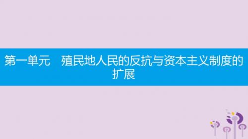 2019春九年级历史下册第一单元殖民地人民的反抗与资本主义制度的扩展第1课殖民地人民的反抗斗争课件新