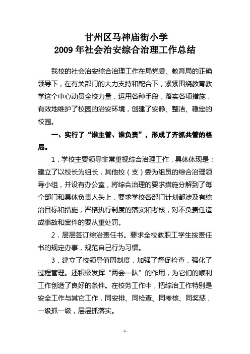 2009年社会治安综合治理工作总结