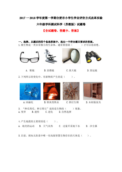 【绿色评价】发展绿色指标评价苏教版六年级《科学》上册期末试卷及答案解析