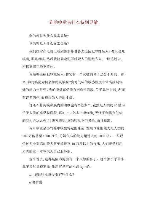 狗的嗅觉为什么特别灵敏