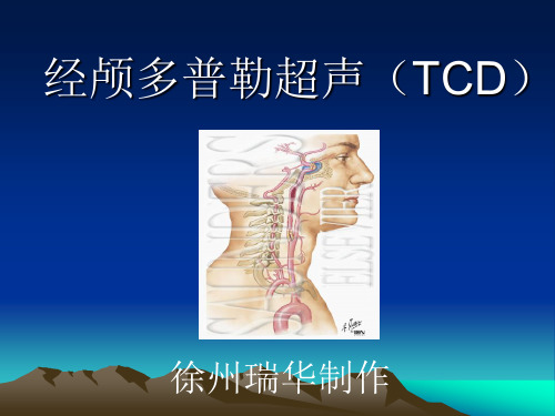 经颅多普勒(TCD)讲解