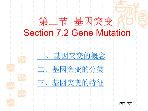 高中生物 基因突变的分类三、基因突变的特征