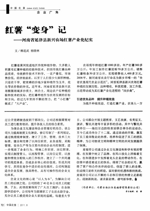 红薯“变身”记——河南省延津县新兴农场红薯产业化纪实