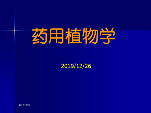 药用植物学课件-绪论