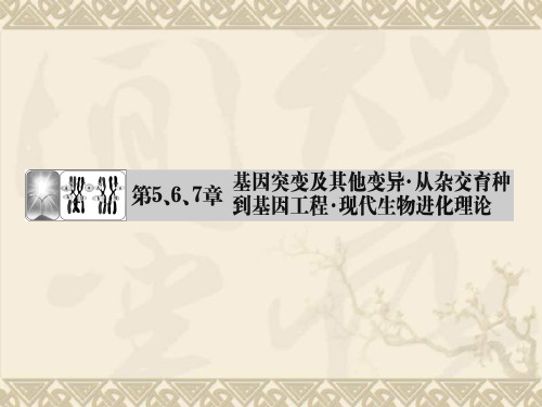 (安徽专用)高考生物一轮复习 第5、6、7章 第1课时基因突变和基因重组课件 新人教版必修2