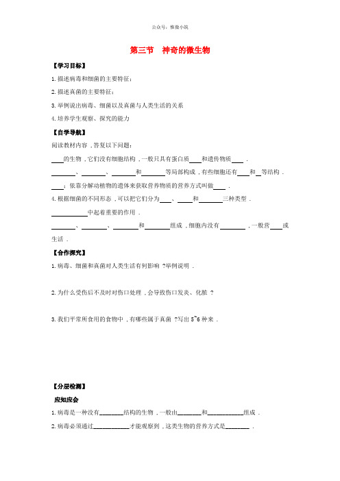 苏教初中生物八上《神奇的微生物》word教案 (1)