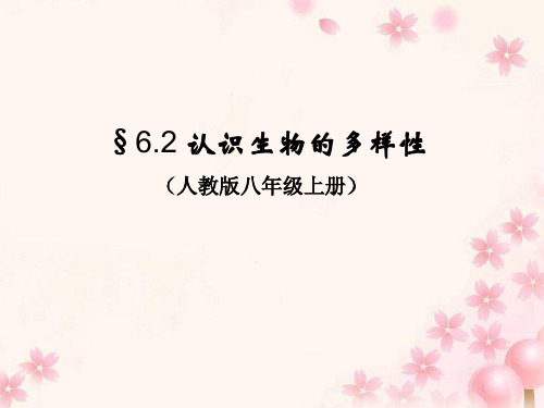 人教版初中生物八上6.2 认识生物的多样性 课件 (共20张PPT)精选课件