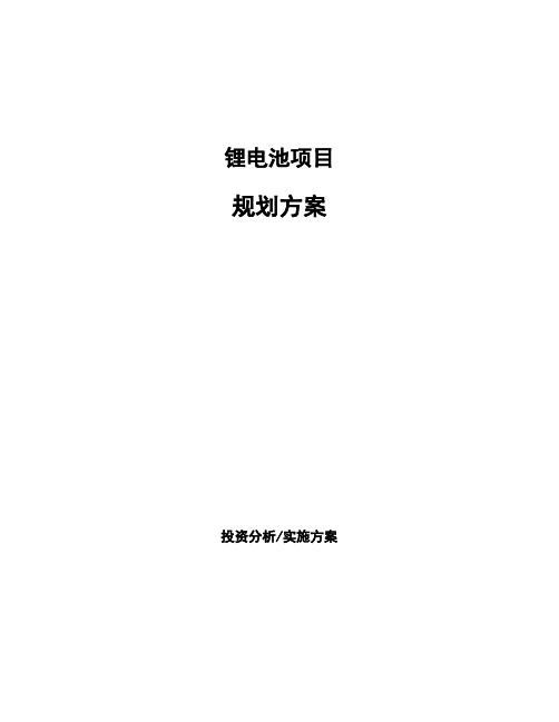 锂电池项目规划方案