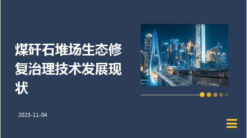 煤矸石堆场生态修复治理技术发展现状