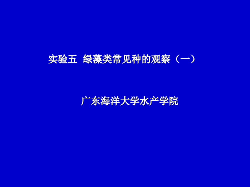 大学课件水生生物学实验五  绿藻类常见种的观察(一)