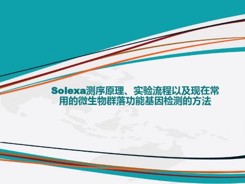 报告1：Solexa测序原理、实验流程课件