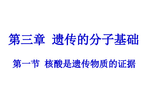 核酸是遗传物质的证据