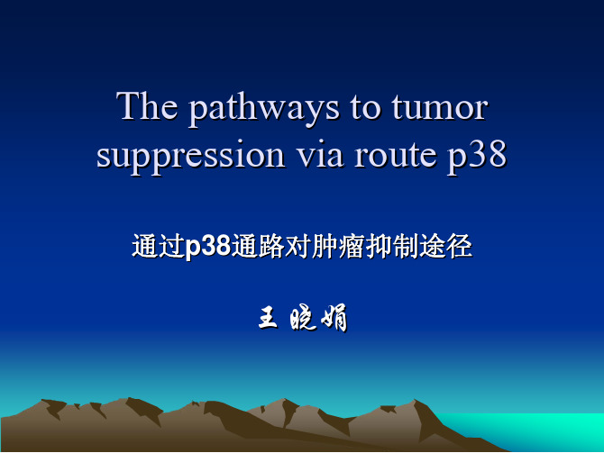 通过p38通路对肿瘤的抑制途径