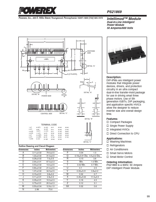 PS21869中文资料