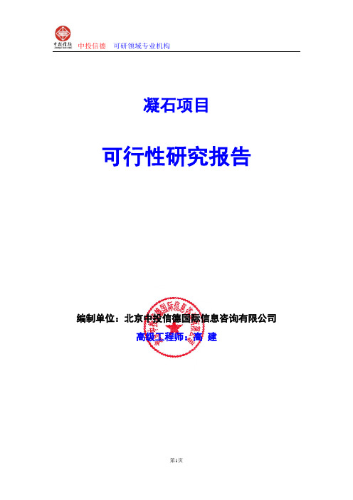 凝石项目可行性研究报告编写格式及参考(模板word)