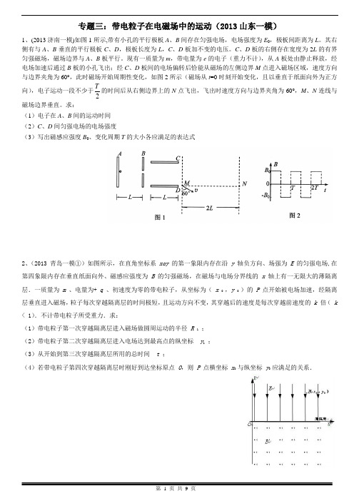 专题三：带电粒子在电磁场中的运动(2013山东一模)综述