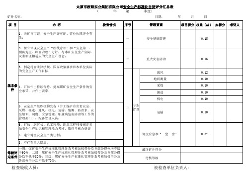 新标准化总打分表