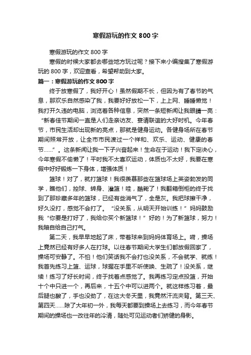 寒假游玩的作文800字