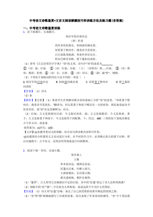 中考语文诗歌鉴赏+文言文阅读解题技巧和训练方法及练习题(含答案) (14)