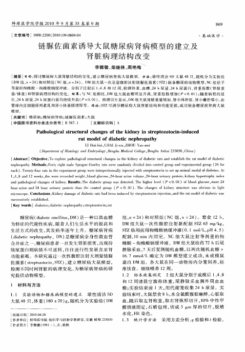 链脲佐菌素诱导大鼠糖尿病肾病模型的建立及肾脏病理结构改变