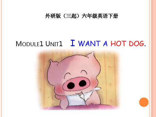 外研版(三起)六下英语：M1U1 I want a hot dog PPT课件(1)