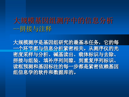 大规模基因组测序中的信息分析-文档资料26页