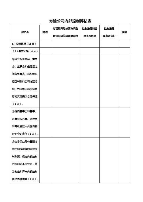 寿险公司内部控制评估表