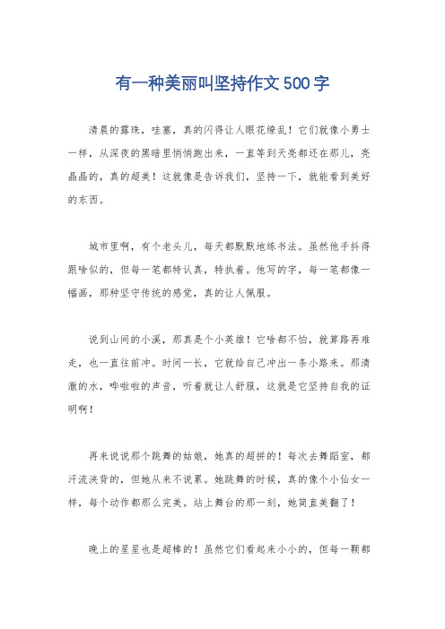 有一种美丽叫坚持作文500字