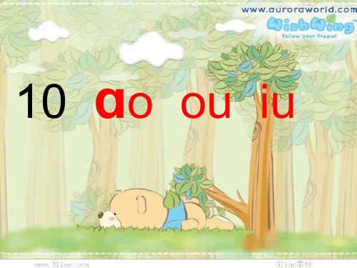 ao_ou_iu教学课件