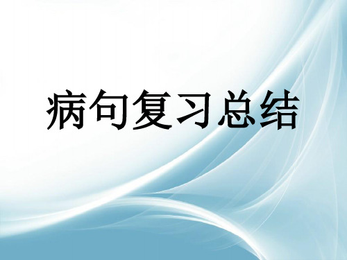 【名师辅导】语文高考复习专题突破精品课件：病句复习总结(38张ppt)