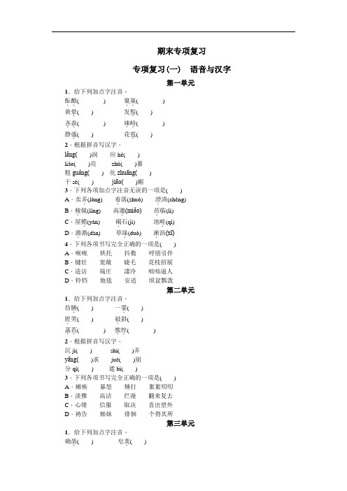 中学语文专项复习(一) 语音与汉字(含答案)