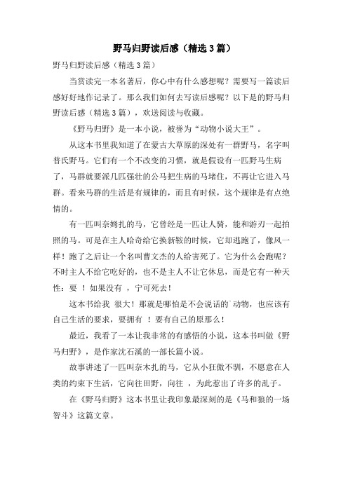 野马归野读后感(精选3篇)